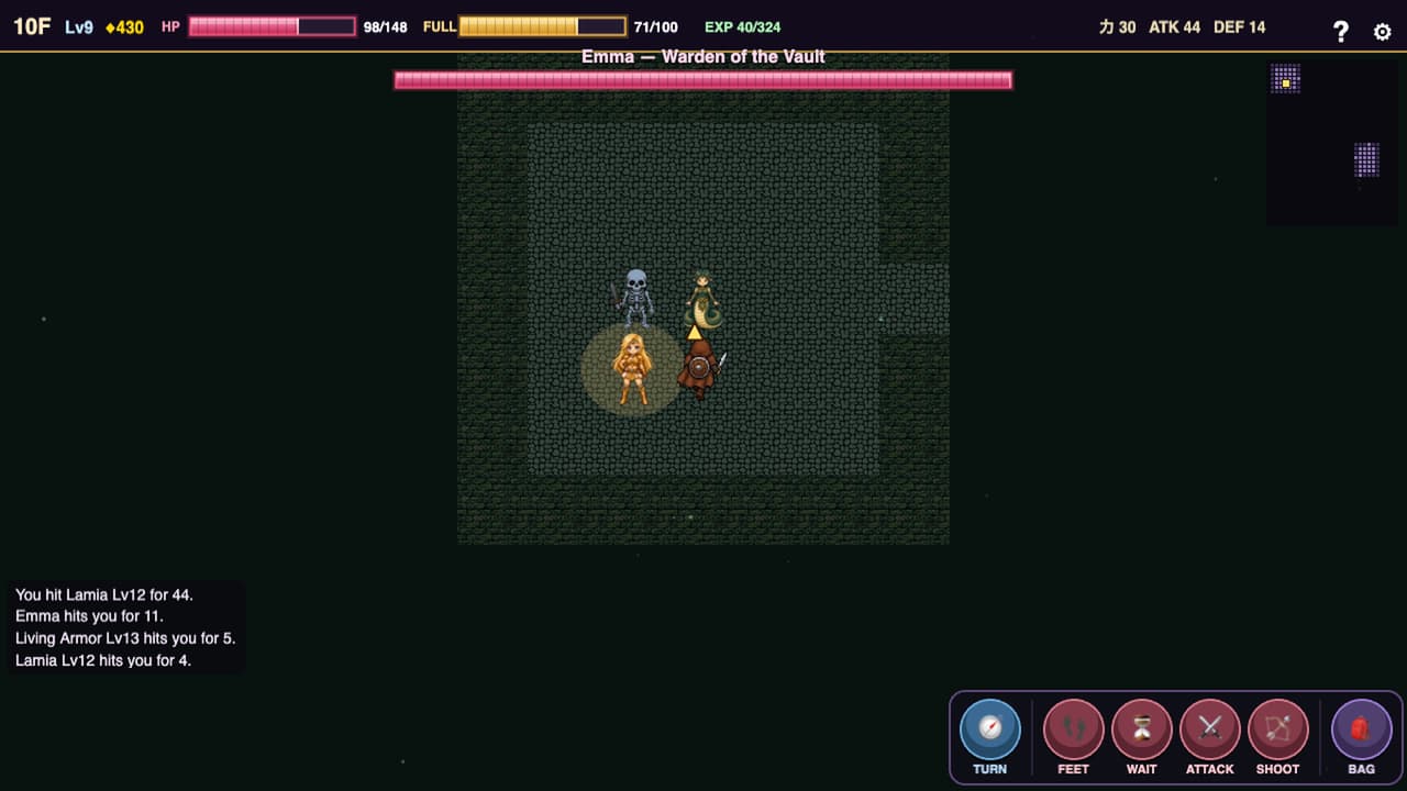 Damsel Dungeon, Screenshot 1